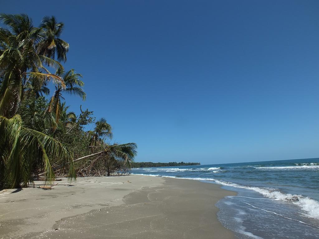 Cabinas Caribe Luna Cahuita Dış mekan fotoğraf