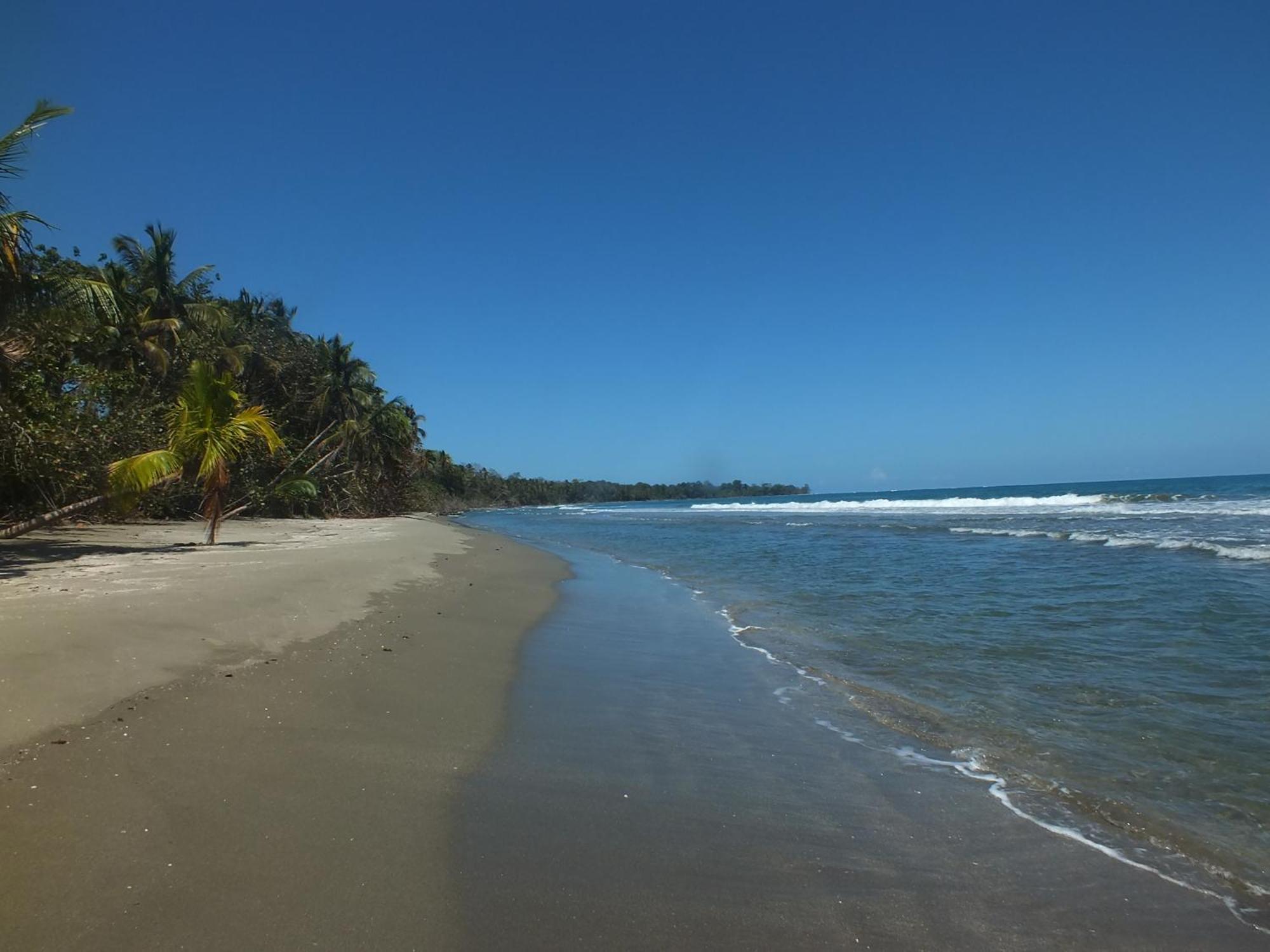 Cabinas Caribe Luna Cahuita Dış mekan fotoğraf