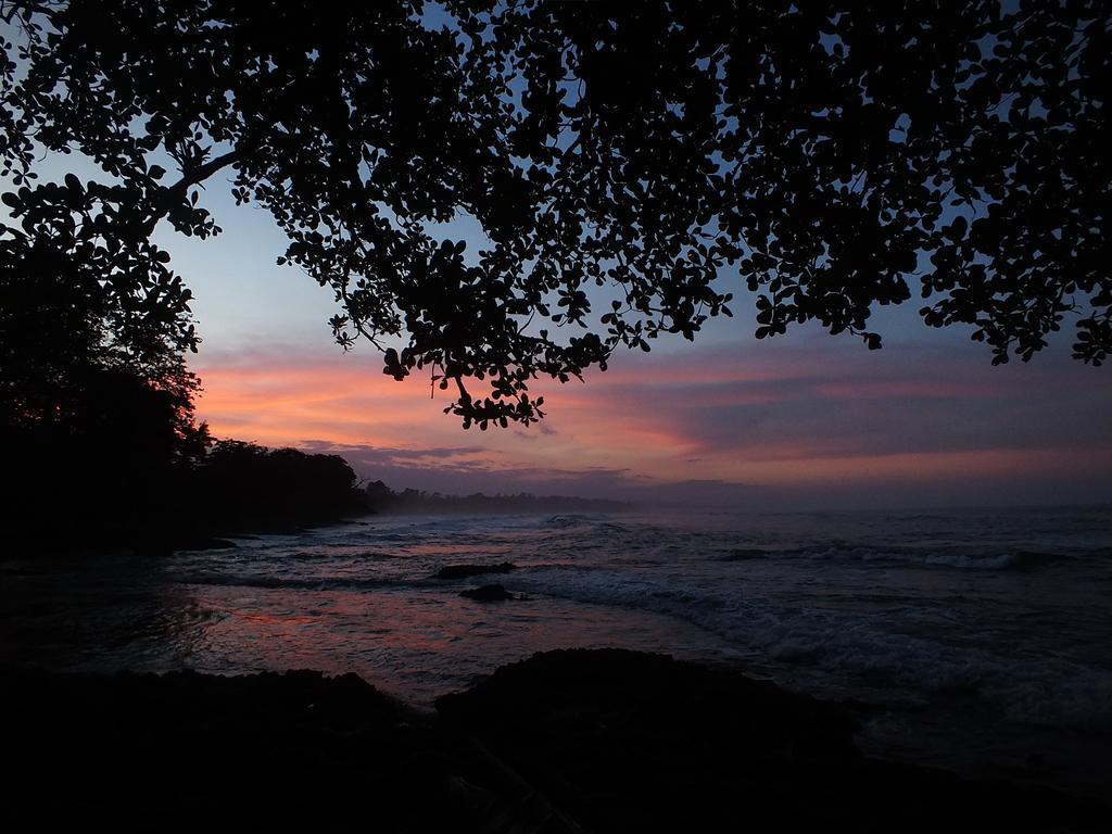 Cabinas Caribe Luna Cahuita Dış mekan fotoğraf