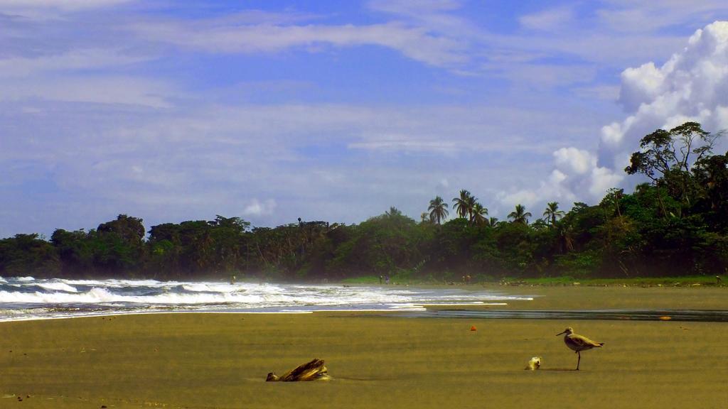 Cabinas Caribe Luna Cahuita Dış mekan fotoğraf