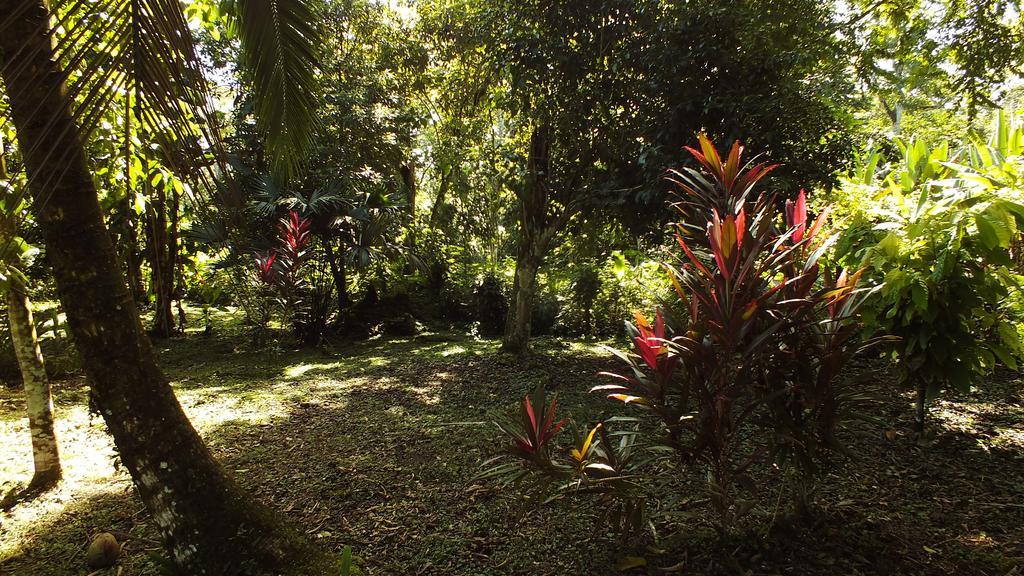 Cabinas Caribe Luna Cahuita Dış mekan fotoğraf