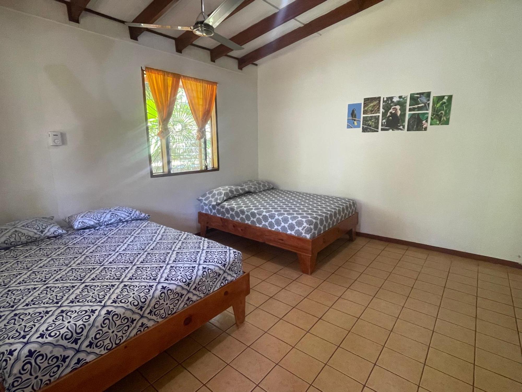 Cabinas Caribe Luna Cahuita Dış mekan fotoğraf