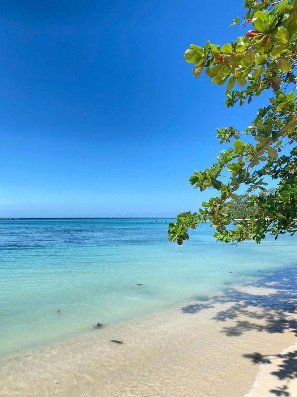 Cabinas Caribe Luna Cahuita Dış mekan fotoğraf