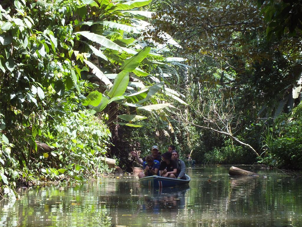Cabinas Caribe Luna Cahuita Dış mekan fotoğraf