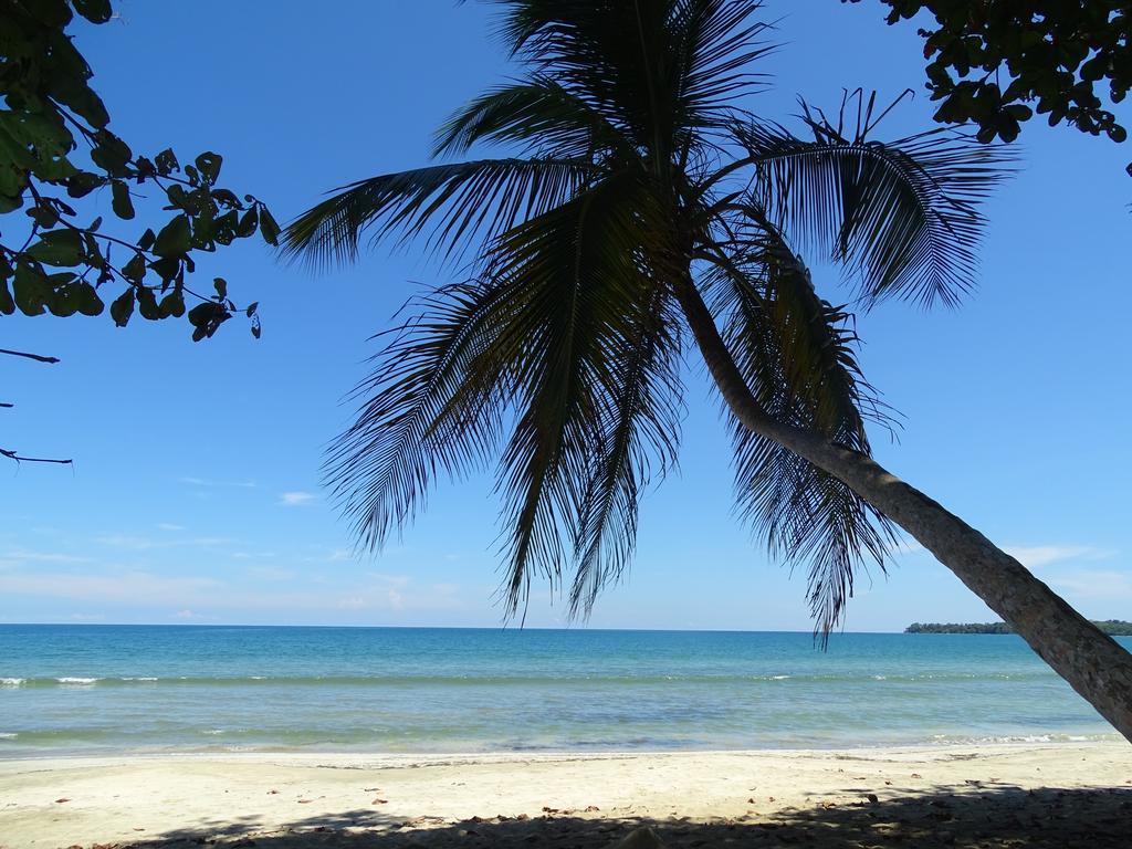 Cabinas Caribe Luna Cahuita Dış mekan fotoğraf