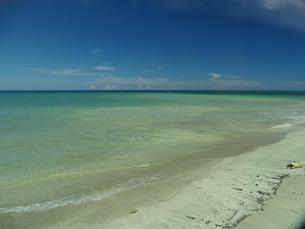 Cabinas Caribe Luna Cahuita Dış mekan fotoğraf