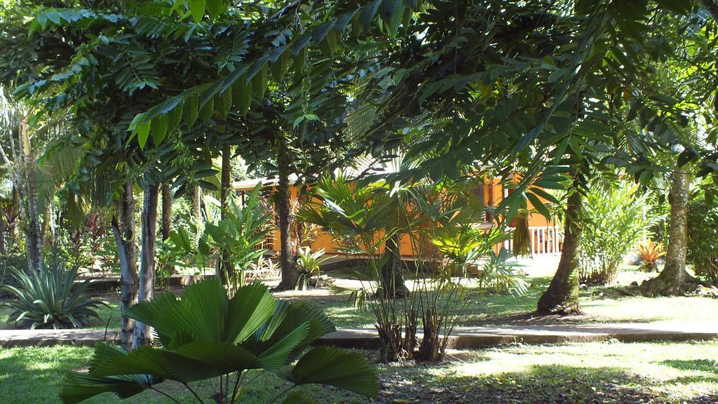 Cabinas Caribe Luna Cahuita Dış mekan fotoğraf