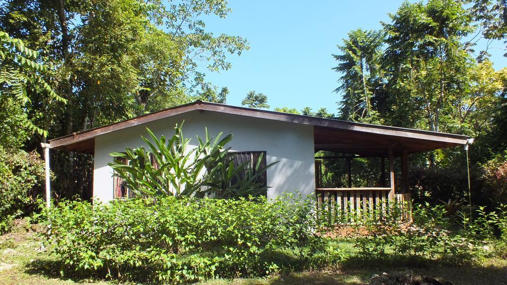 Cabinas Caribe Luna Cahuita Dış mekan fotoğraf